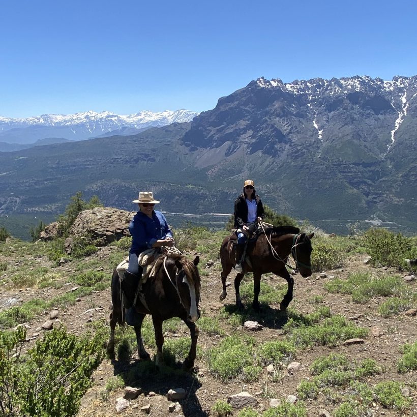 IMG_3274 (1) (1) IMG_3274 (1) (1)